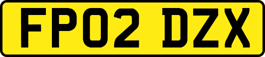 FP02DZX