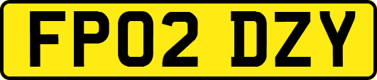 FP02DZY