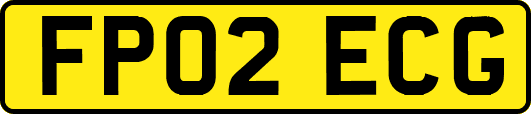 FP02ECG