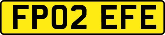 FP02EFE