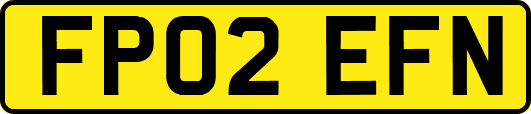 FP02EFN