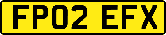FP02EFX
