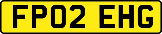 FP02EHG