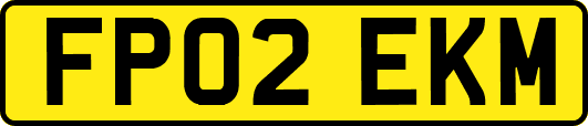 FP02EKM