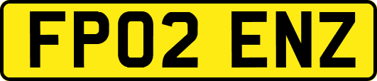 FP02ENZ