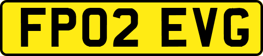 FP02EVG