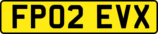 FP02EVX