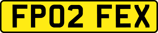 FP02FEX