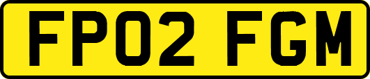 FP02FGM