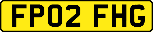 FP02FHG