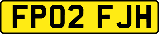 FP02FJH