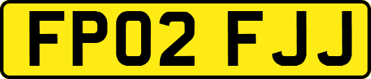 FP02FJJ