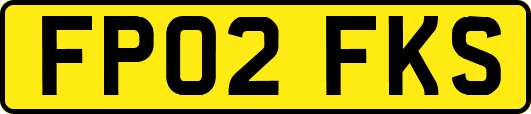 FP02FKS