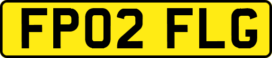 FP02FLG