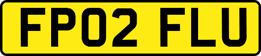 FP02FLU