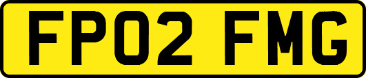 FP02FMG