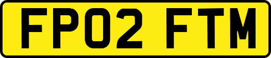 FP02FTM