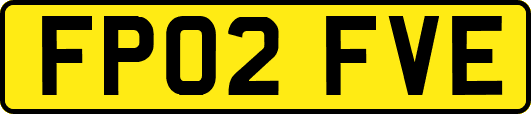 FP02FVE