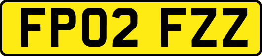 FP02FZZ