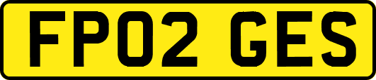 FP02GES