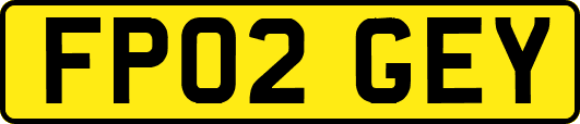FP02GEY