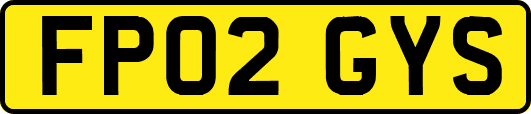 FP02GYS