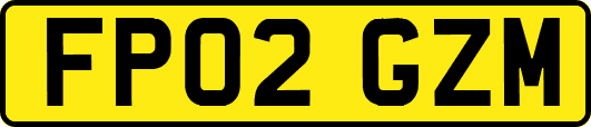 FP02GZM