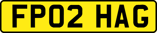 FP02HAG