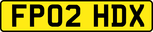 FP02HDX