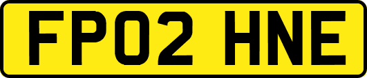 FP02HNE