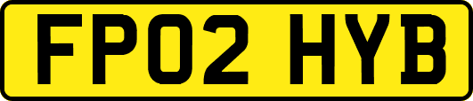 FP02HYB