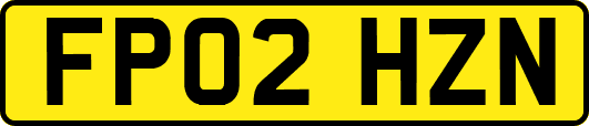 FP02HZN