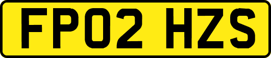 FP02HZS