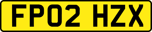 FP02HZX