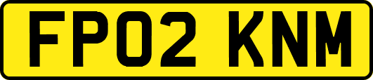 FP02KNM