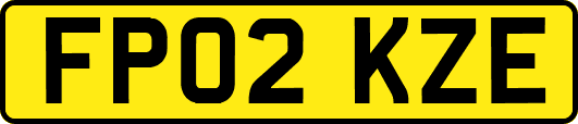 FP02KZE