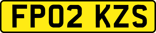 FP02KZS