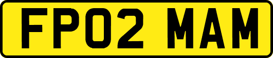FP02MAM
