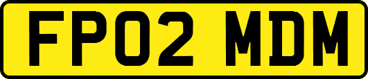 FP02MDM