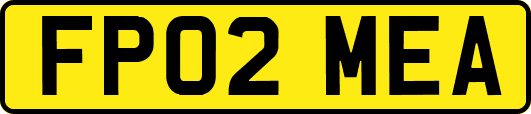FP02MEA
