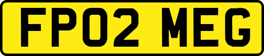 FP02MEG