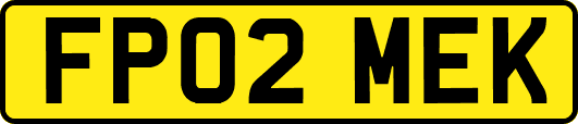 FP02MEK