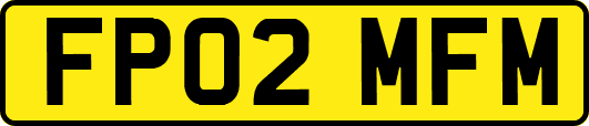 FP02MFM
