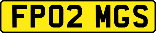 FP02MGS