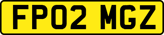 FP02MGZ