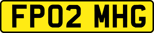 FP02MHG
