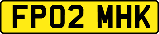 FP02MHK