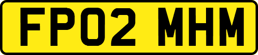 FP02MHM