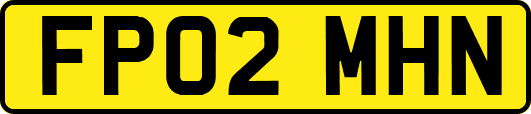 FP02MHN