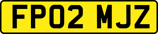 FP02MJZ